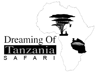 Dreaming of Tanzania Safari