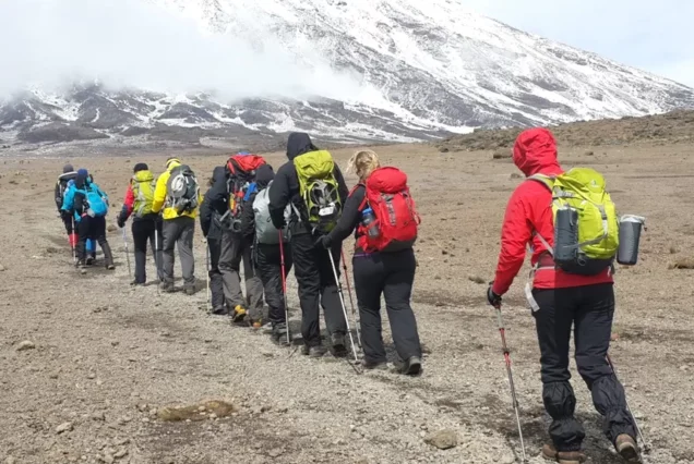 Lemosho Route 7 Days Trek - Dreaming of Tanzania Safari
